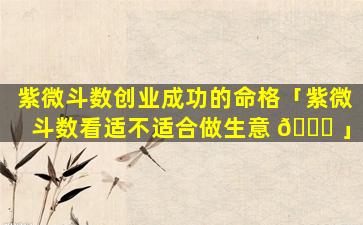 紫微斗数创业成功的命格「紫微斗数看适不适合做生意 💐 」
